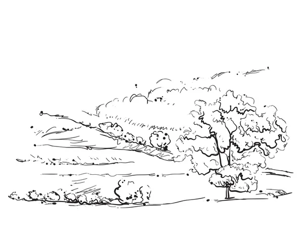 フィールドと木のある風景. — ストックベクタ