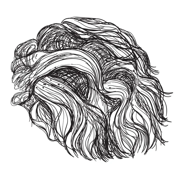Затянутые кудрявые волосы . — стоковый вектор
