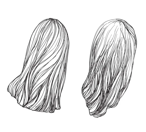 Cheveux dessinés à la main. . — Image vectorielle