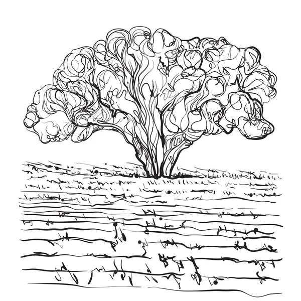 Hand drawn illustration of a vineyard. — Stock Vector