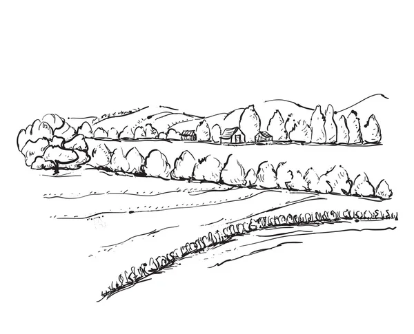 Schizzo del campo disegnato a mano — Vettoriale Stock