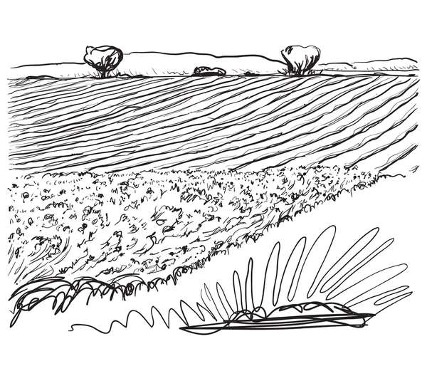 农场的风景蚀刻，农业现场 — 图库矢量图片