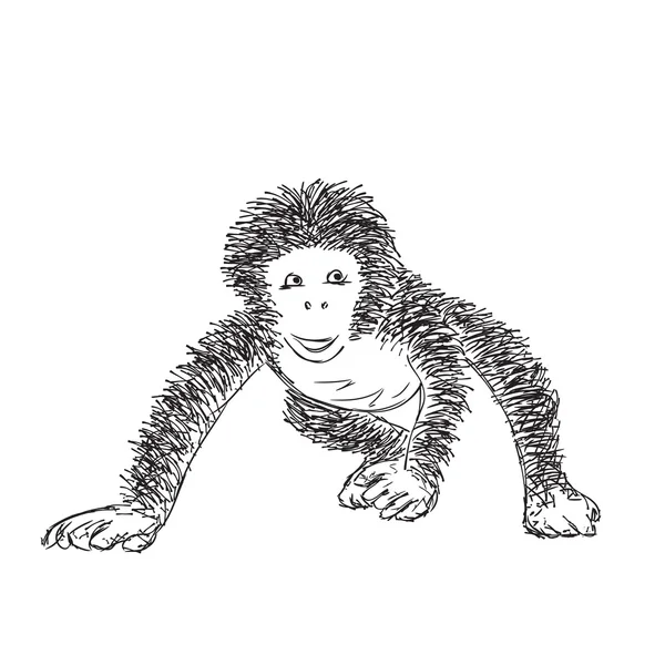 Sketchy Gorilla Vector Illustration — Stock Vector