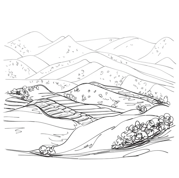 Landschaftsskizze — Stockvektor