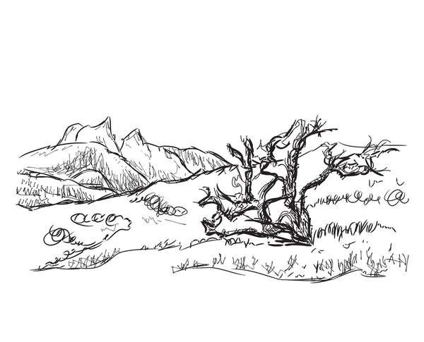 Hand drawn mountains vector illustration. — Stock Vector