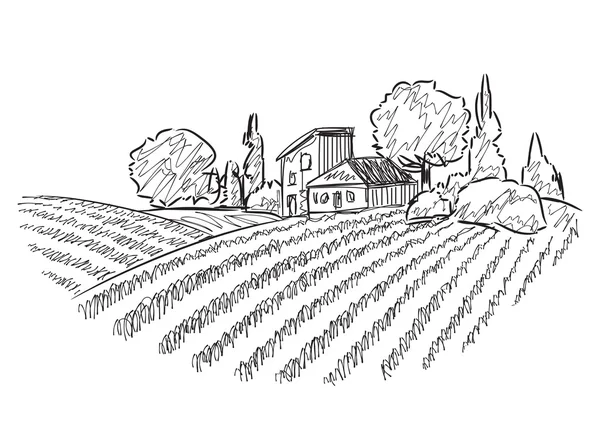 Landschaft mit Feldern — Stockvektor