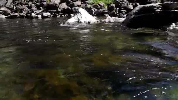 Horská řeka v Altajské Gorny — Stock video