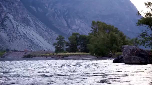 Gebirgsfluss, Gorny Altai Stockvideo