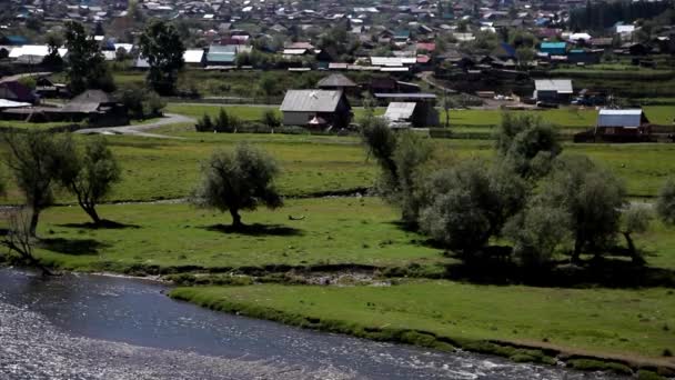 Fluss in der Nähe des Landes im Gorny Altai — Stockvideo