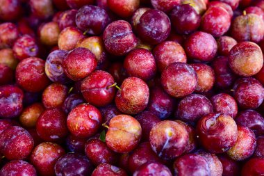 Bir demet erik üst üste yığılır. Erikler kırmızı ve parlak.