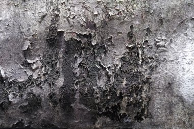 liken ve kanalizasyon boru eski binasında