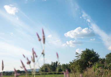 alan mavi gökyüzü karşı bulanıklık