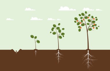 Suluboya eko tasarım