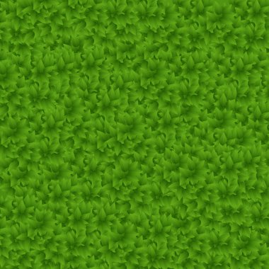 Yeşil yaprak dokusu