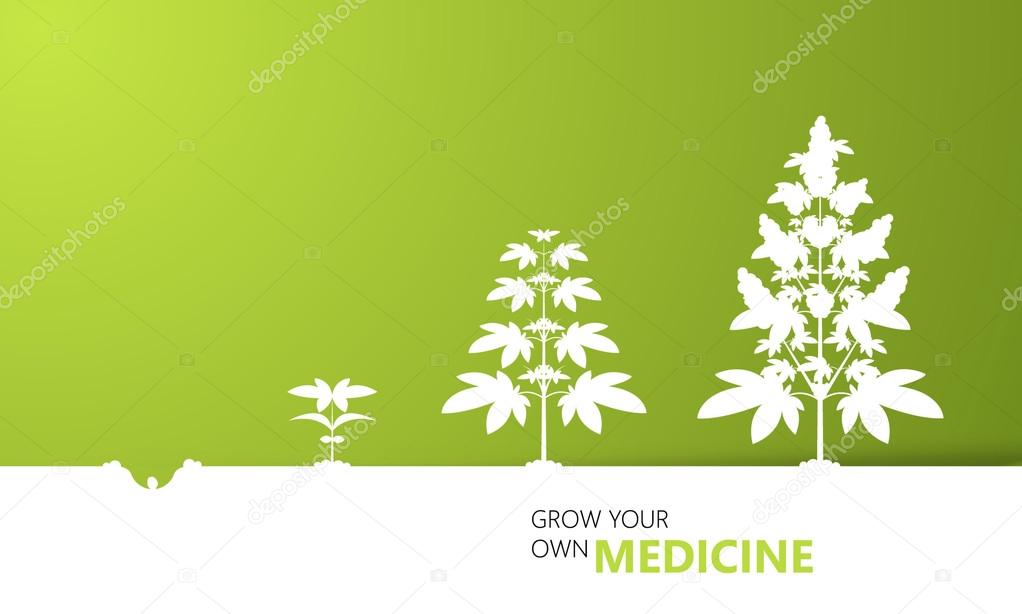 Cannabis growth background concept