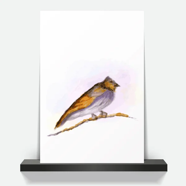 Pássaro pintado a aquarela na brochura . — Vetor de Stock