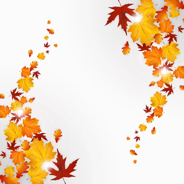 Осіннє листя фону — стоковий вектор