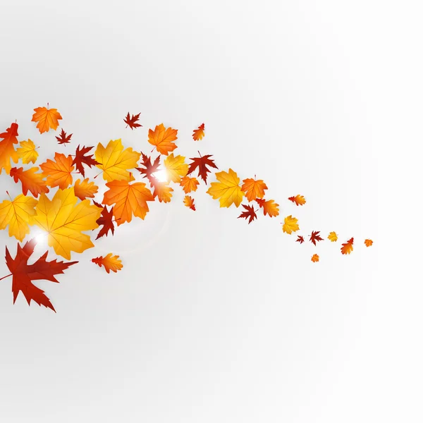 Autumn leaves background — Stock Vector