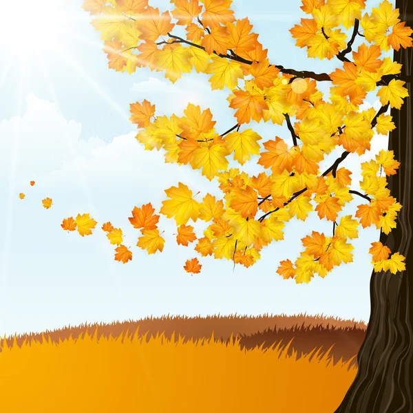 Autumn Landscape with tree — Stock Vector