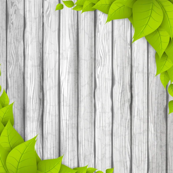 Eco Background. Feuilles vertes — Image vectorielle