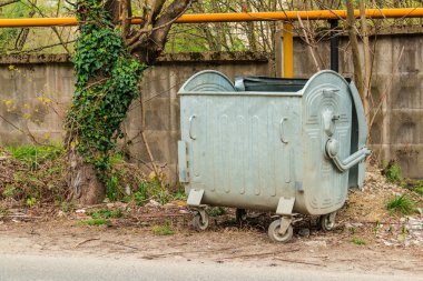 Çöp ve duvara ağaç