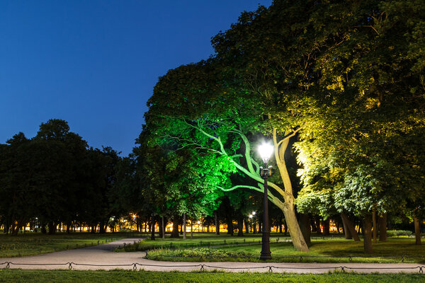 Night street light in park