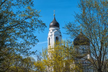 Ağaçların arkasında Katedrali
