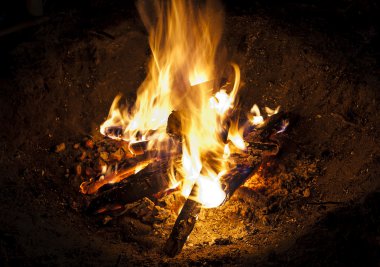 Ormandaki gece şenlik ateşi