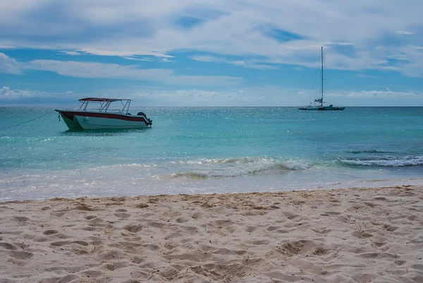 Lanceert in het Caribisch gebied — Stockfoto