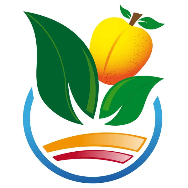 Icono abstracto de la fruta de albaricoque — Vector de stock