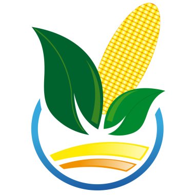 Mısır mısır koçanı soyut simgesi