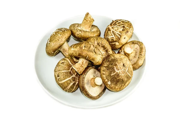 Isolated Shitake Mushrooms on the white background — Stock Photo, Image