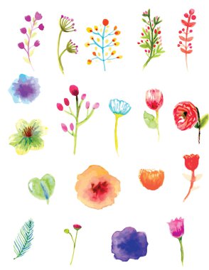 Kaprisli suluboya çiçek