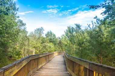 Gökyüzü arka plan üzerinde park