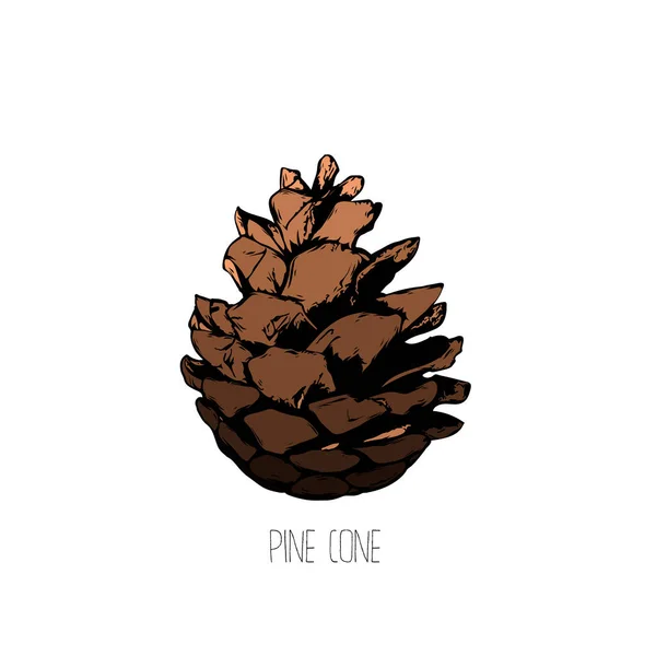 Platt illustration - Pine kon för jul decore — Stock vektor