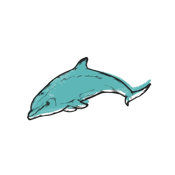 Jumping dolphin, vintage flat vector emblem art — Stock Vector