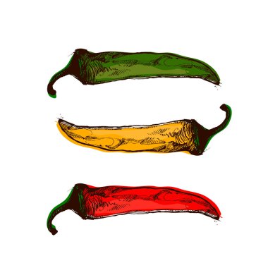 Sıcak kırmızı biberli tişört tasarımı, vektör sanatı