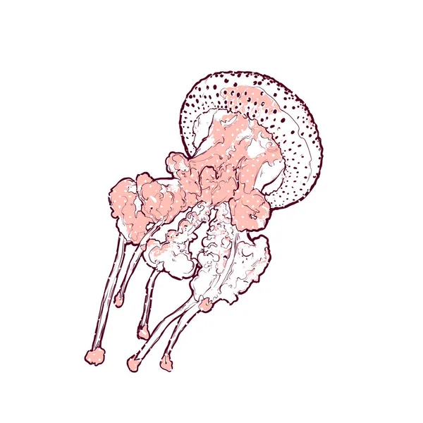 Medusa com tentáculos longos. Arte vetorial medusa — Vetor de Stock