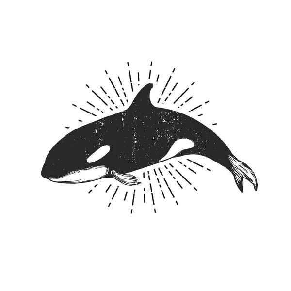 Logotipo de la ballena asesina, orca plana para cartel o icono — Archivo Imágenes Vectoriales
