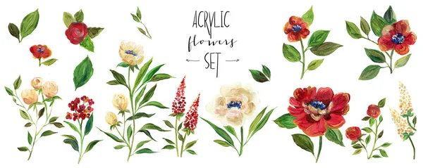 Ilustracja kwiat kwiatowy Arcylic. Zestaw z kwiatami bordo. — Zdjęcie stockowe