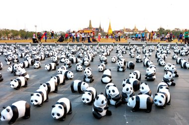 1600 pandalar + dünya turu Bangkok Tayland