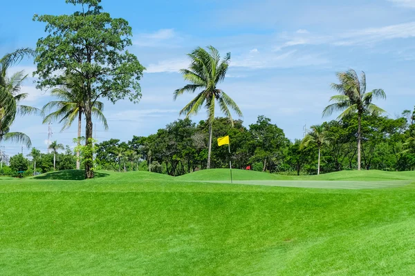 Breda gröna gräsmattor golfbanor. — Stockfoto