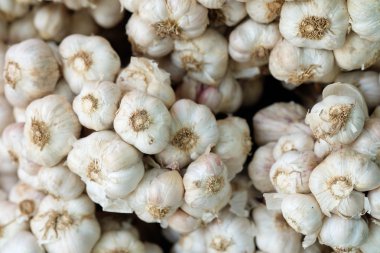 Beyaz sarımsak yakın çekim