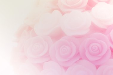 gül çiçek arka plan