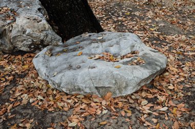 Büyük taş zemin üzerine