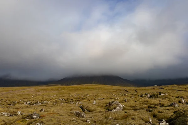 阳光灿烂的冰岛风景熔岩场 — 图库照片
