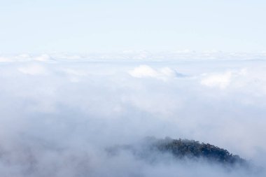 Ağaçlarla dolu bir dağ bulutlarla dolu bir denizde görülebilir, bulutların arasındaki bir ada gibi.