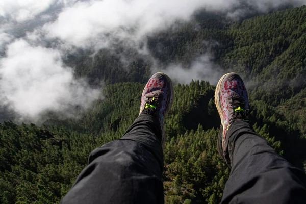 Piedi Sneakers Una Pineta Con Nuvole Nebbia — Foto Stock