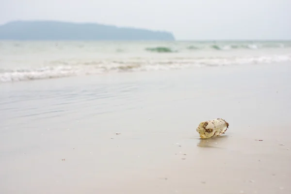 Förorening av miljön, beach — Stockfoto