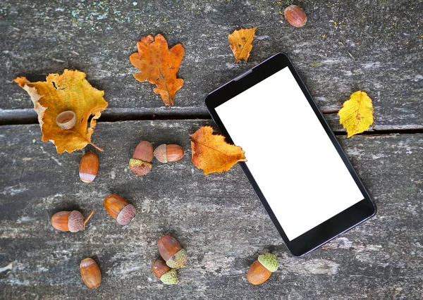 Mobiltelefon, höstens koncept — Stockfoto